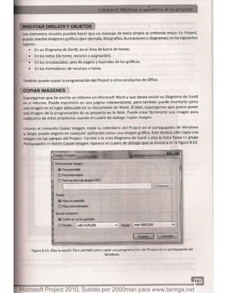 Microsoft project 2010 (final)