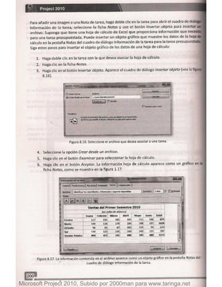 Microsoft project 2010 (final)