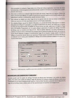 Microsoft project 2010 (final)