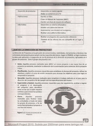 Microsoft project 2010 (final)