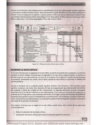 Microsoft project 2010 (final)