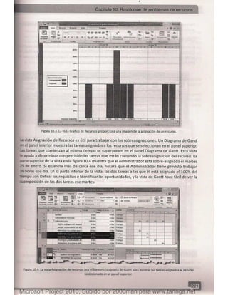 Microsoft project 2010 (final)