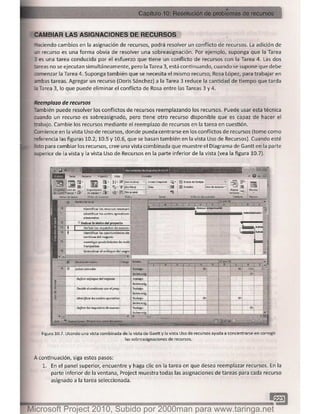 Microsoft project 2010 (final)