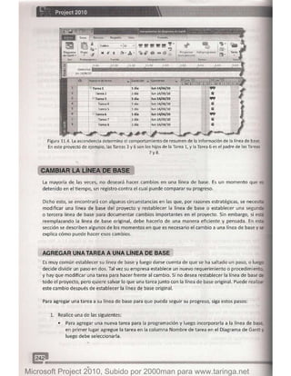 Microsoft project 2010 (final)