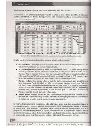 Microsoft project 2010 (final)