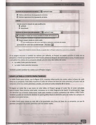 Microsoft project 2010 (final)