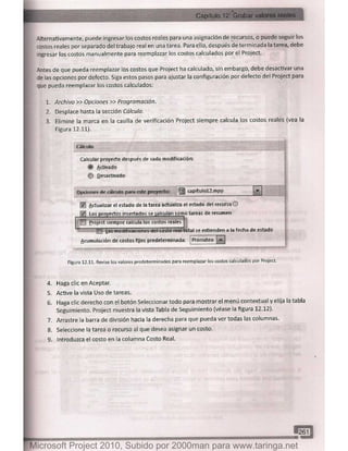 Microsoft project 2010 (final)