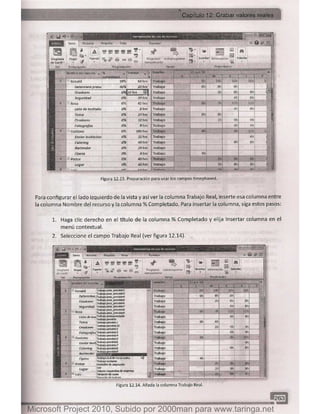 Microsoft project 2010 (final)