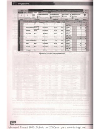 Microsoft project 2010 (final)