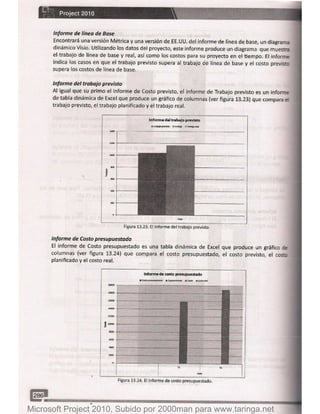 Microsoft project 2010 (final)