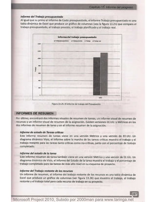 Microsoft project 2010 (final)