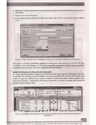 Microsoft project 2010 (final)