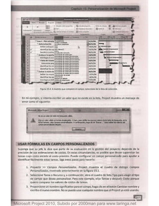 Microsoft project 2010 (final)