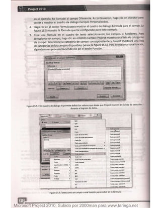 Microsoft project 2010 (final)