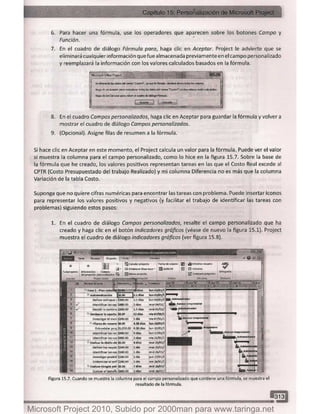 Microsoft project 2010 (final)