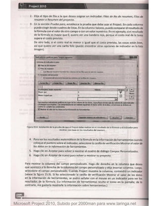 Microsoft project 2010 (final)