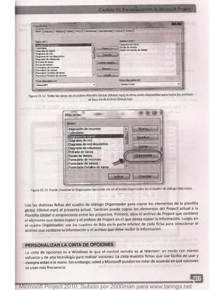 Microsoft project 2010 (final)