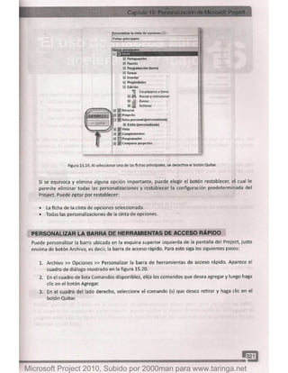 Microsoft project 2010 (final)