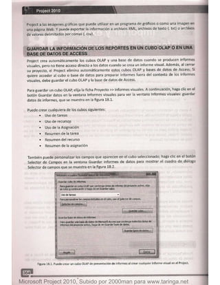 Microsoft project 2010 (final)