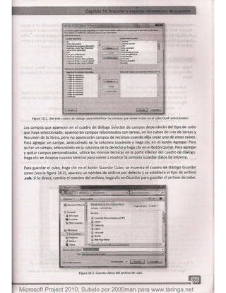 Microsoft project 2010 (final)