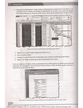 Microsoft project 2010 (final)