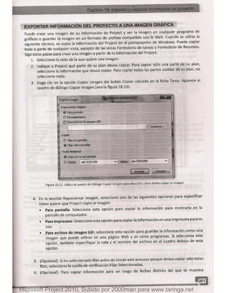Microsoft project 2010 (final)