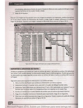 Microsoft project 2010 (final)