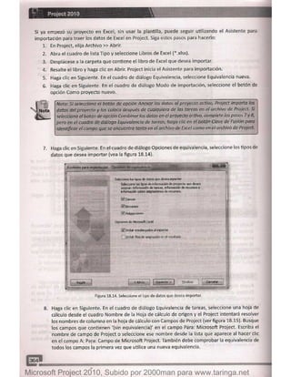 Microsoft project 2010 (final)