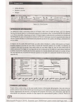 Microsoft project 2010 (final)