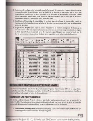 Microsoft project 2010 (final)