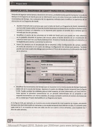 Microsoft project 2010 (final)