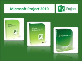Microsoft Project 2010
 