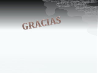 Microsoft publisher 2010