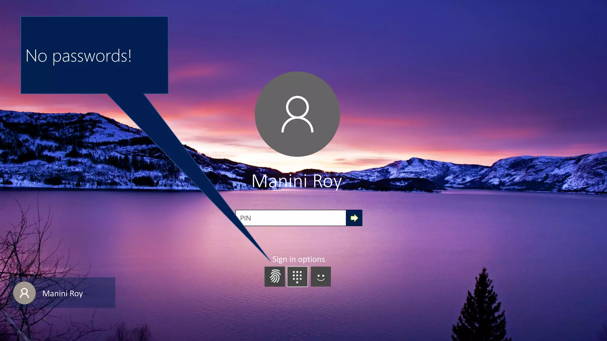 Manini Roy
Sign in options
PIN
Manini Roy
No passwords!
 