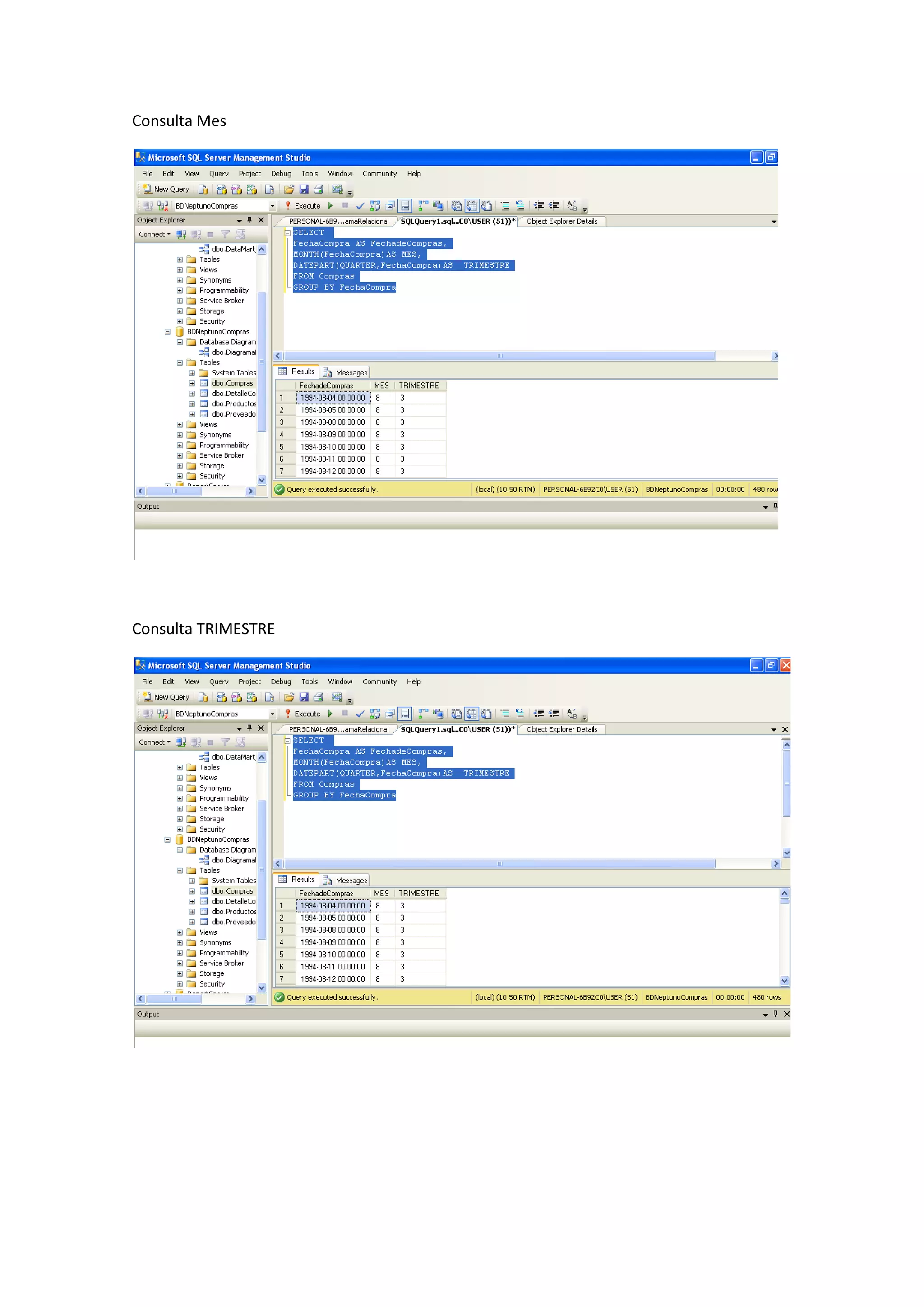 Consulta Mes
Consulta TRIMESTRE
 