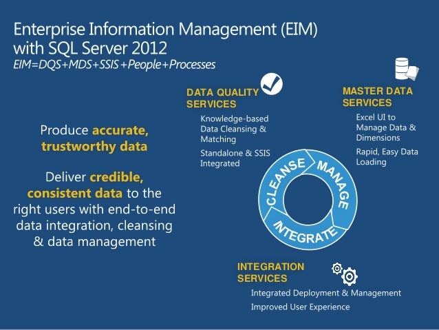 Microsoft SQL Server Master Data Services DesignMind