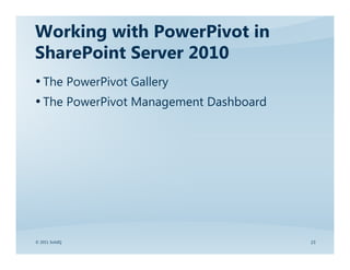 Microsoft SQL Server PowerPivot | PDF
