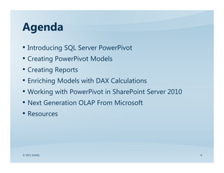 Microsoft SQL Server PowerPivot | PDF