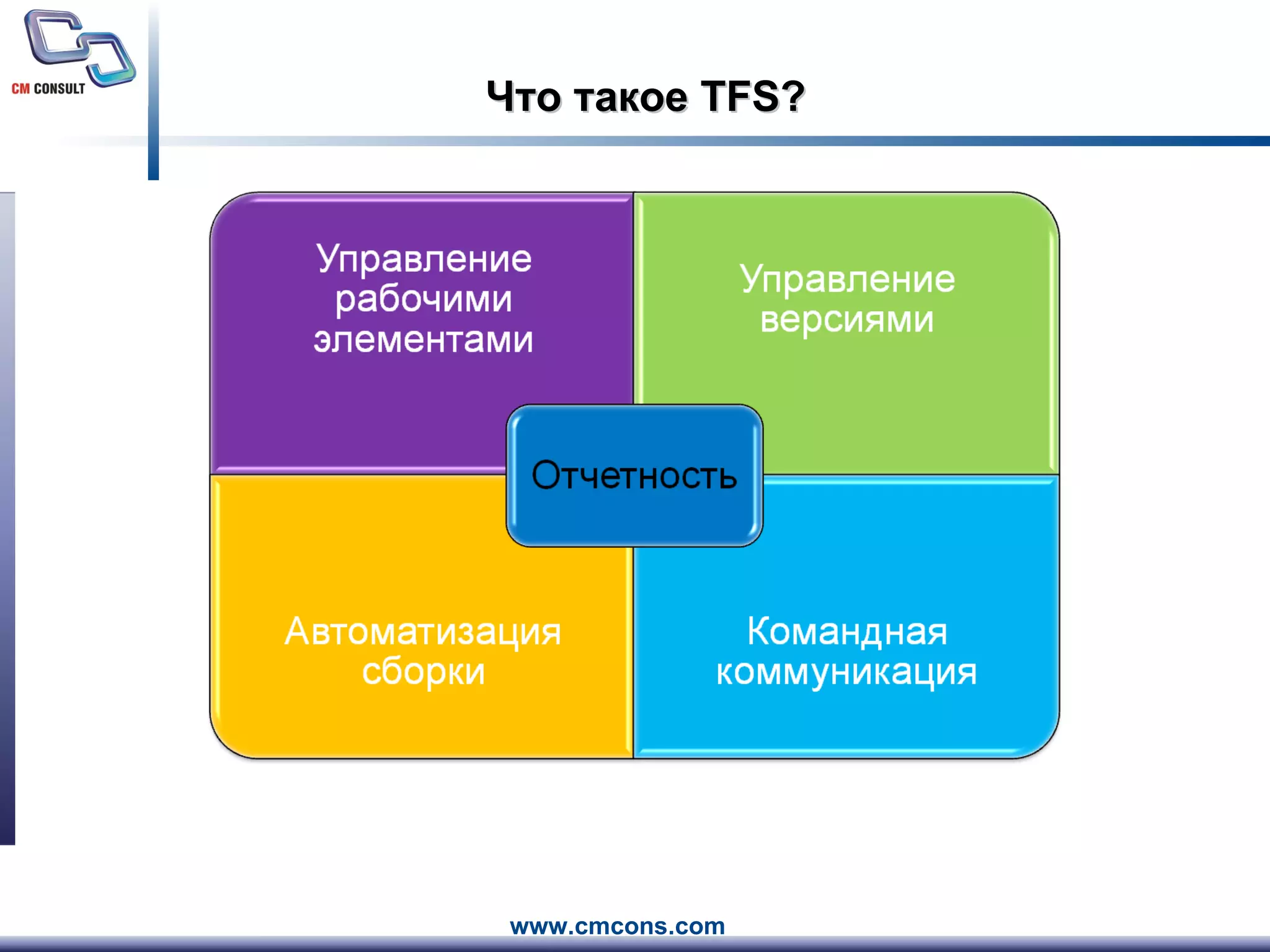 Что такое  TFS? 