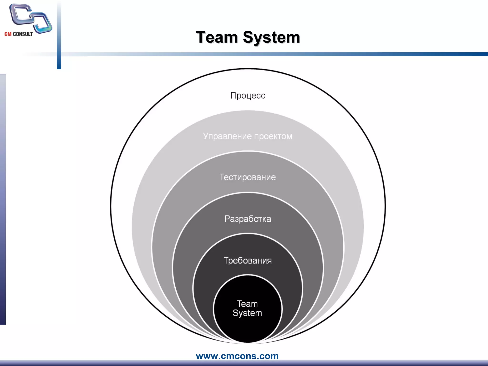 Team System 