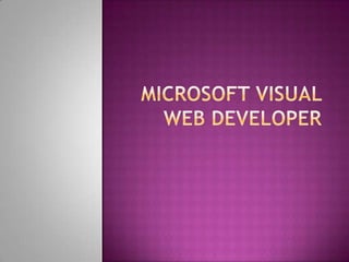 Microsoft visual web developer 