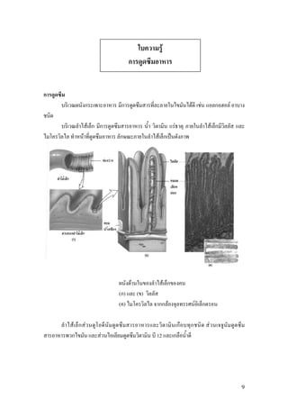 F




                                                       F       F           F

            F                                      F                   F
    F                             F




                         F                 F
                    ()       ()
                    ()                         F           F

F       F                                                          F
                F                 12




                                                                               9
 