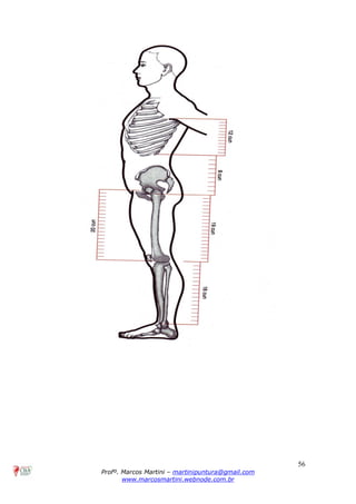 56
Profº. Marcos Martini – martinipuntura@gmail.com
www.marcosmartini.webnode.com.br
 