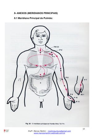 65
Profº. Marcos Martini – martinipuntura@gmail.com
www.marcosmartini.webnode.com.br
8- ANEXOS (MERIDIANOS PRINCIPAIS)
8.1 Meridiano Principal do Pulmão:
 