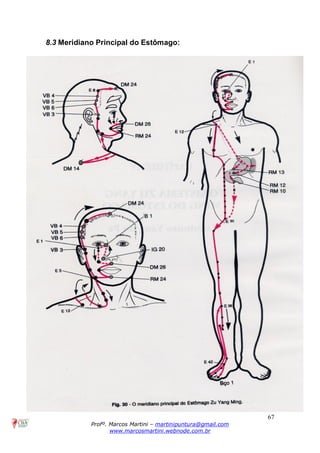 67
Profº. Marcos Martini – martinipuntura@gmail.com
www.marcosmartini.webnode.com.br
8.3 Meridiano Principal do Estômago:
 