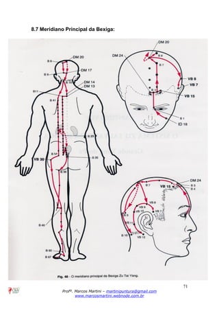 71
Profº. Marcos Martini – martinipuntura@gmail.com
www.marcosmartini.webnode.com.br
8.7 Meridiano Principal da Bexiga:
 