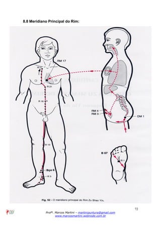 72
Profº. Marcos Martini – martinipuntura@gmail.com
www.marcosmartini.webnode.com.br
8.8 Meridiano Principal do Rim:
 