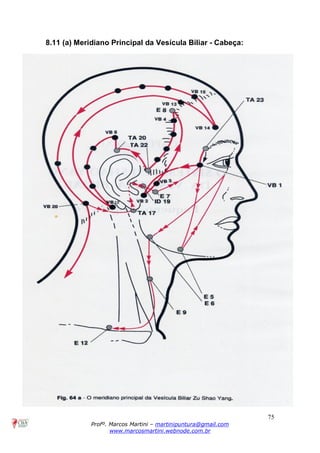 75
Profº. Marcos Martini – martinipuntura@gmail.com
www.marcosmartini.webnode.com.br
8.11 (a) Meridiano Principal da Vesícula Biliar - Cabeça:
 