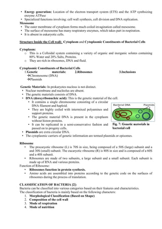 • Energy generation: Location of the electron transport system (ETS) and the ATP synthsizing
enzyme ATPase
• Specialized functions involving: cell wall synthesis, cell division and DNA replication.
Mesosome
• The outer membrane of cytoplasm forms much coiled invagination called mesosome.
• The surface of mesosome has many respiratory enzymes, which takes part in respiration.
• It is absent in eukaryotic cells.
Structure Inside the Cell wall: Cytoplasm and Cytoplasmic Constituents of Bacterial Cells
Cytoplasm:
o This is a Colloidal system containing a variety of organic and inorganic solutes containing
80% Water and 20% Salts, Proteins.
o They are rich in ribosomes, DNA and fluid.
Cytoplasmic Constituents of Bacterial Cells
1.Genetic materials:
Chromosome (DNA)
Plasmids
2.Ribosomes 3.Inclusions
Genetic Materials: In prokaryotes nucleus is not distinct.
• Nuclear membrane and nucleolus are absent.
• The genetic materials consists of DNA.
• DNA (deoxyribonucleic acid): This is the genetic material of the cell.
• It contains a single chromosome consisting of a circular
DNA filament and haploid.
• They are highly coiled with intermixed polyamines and
support proteins.
• The genetic material DNA is present in the cytoplasm
without histon proteins.
• It can be replicated in a semi-conservative fashion and
passed on to progeny cells.
• Plasmids are extra circular DNA.
• The cytoplasmic carriers of genetic information are termed plasmids or episomes.
Ribosome
• The procaryotic ribosome (L) is 70S in size, being composed of a 50S (large) subunit and a
and 30S (small) subunit. The eucaryotic ribosome (R) is 80S in size and is composed of a 60S
and a 40S subunit.
• Ribosomes are made of two subunits, a large subunit and a small subunit. Each subunit is
made up of RNA and various proteins.
Function of Ribosome:
• Ribosomes function in protein synthesis.
• Amino acids are assembled into proteins according to the genetic code on the surfaces of
ribosomes during the process of translation.
CLASSIFICATION OF BACTERIA [2]:
Bacteria can be classified into various categories based on their features and characteristics.
The classification of bacteria is mainly based on the following characters:
1. Morphological Classification (Based on Shape)
2. Composition of the cell wall
3. Mode of respiration
4. Mode of nutrition
 