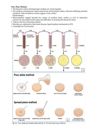 Pour Plate Method:
• The bacterial culture and liquid agar medium are mixed together.
• The medium containing the culture poured into sterilized petri dishes, allowed solidifying and then
incubated. After incubation colonies appear on the surface.
Disadvantages:
• Microorganism trapped beneath the surface of medium hence surface as well as subsurface
colonies are developed which makes the difficulties in counting the bacterial colony.
• Tedious and time consuming method
• Microbes are subjected to heat shock because liquid medium maintained at 45℃.
• Unsuitable for Psychrophile
 